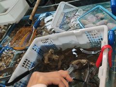 -争先鲜·蒸汽海鲜自助·鲜切牛肉