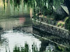 -观桥阁(锦溪店)