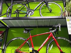 -道路口单车爱瓦士dahon大行