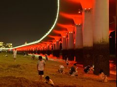 -演武大桥观景平台