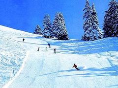 -亚布力新体委滑雪场