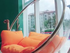 -飞行喵MR PILOT|猫舍·猫咖(静安大融城店)