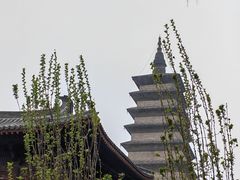 -正定古城-开元寺