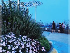 -沈家门渔港