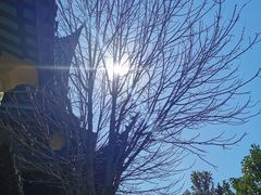 -重元寺香积厨素斋馆