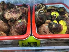 -菌海森林·非遗野生菌火锅(西山区滇池路摩根道店)