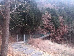 -遵化市禅林寺古银杏风景园