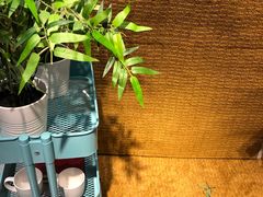 -宜家家居（上海徐汇商场店）-停车场