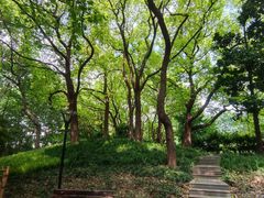 -徐家汇源景区-衡山公园