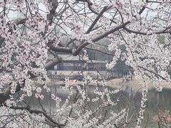 -北坞公园