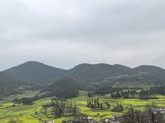 -牛街螺丝田