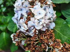 -二酉书店TOYOU BOOKS