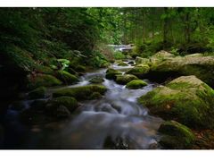 -洛阳白云山景区
