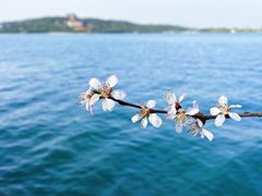 -颐和园