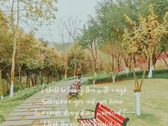 -重庆中央公园(渝北区)