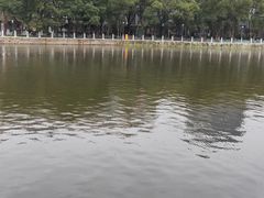 -孺子亭公园