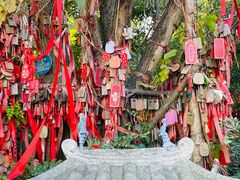 -茅山东方盐湖城景区