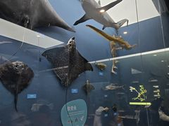 -国家自然博物馆