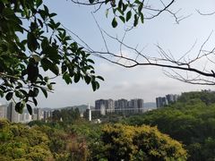 -龙凤山庄影视度假村