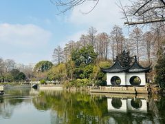 -红梅公园