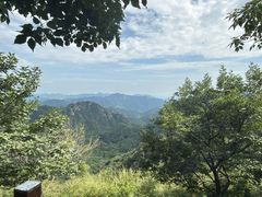 -大岭沟猕猴桃谷风景区