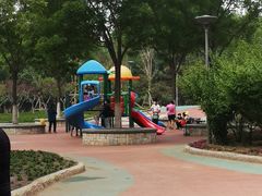 -大兴滨河森林公园