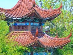 -韩湘水博园