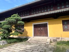 -江心屿景区