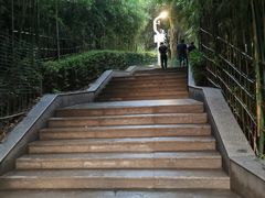 -西安市长乐公园