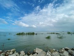 -泗洪洪泽湖湿地景区
