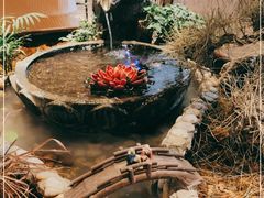 -东椰·海南椰子鸡火锅(朝阳门店)