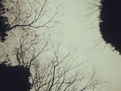android_upload_pic-富乐山