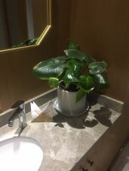 点击看大图 -苑苑vbeauty科技美容SPA
