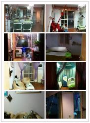 星美甲新店-星美甲