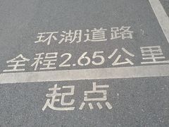 -海珠湖公园