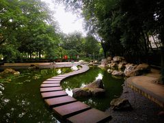 -神仙树公园
