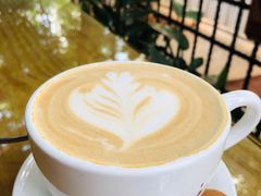 -萨尔瓦多Salvador's