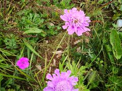 -白草畔自然风景区