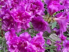 -云峰山自然风景区