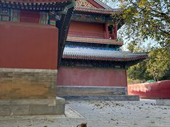 -潭柘寺景区