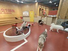 -和它·交个朋友·狗咖猫咖(爱琴海店)