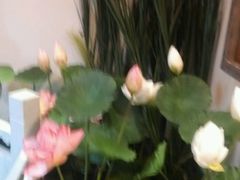 -芦月轩羊蝎子(劲松店)