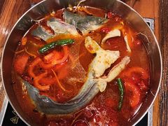 -苗家大院酸汤鱼(贵阳北站店)