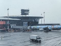 -谢列梅捷沃国际机场