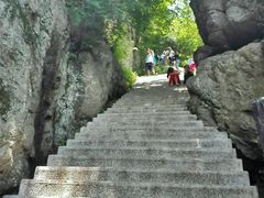 -王顺山国家森林公园
