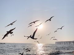 -银沙滩浴场