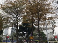 -翠华餐厅(正佳广场店)