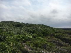 -鹅銮鼻公园