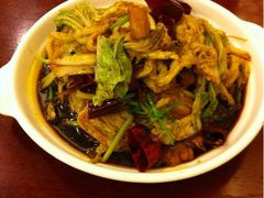 -鸢飞潍坊菜馆(鸢飞大酒店)