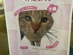 -平行世界·猫咖(首经贸店)